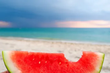2021-nokomis-beach-watermelon