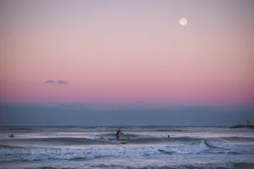 Venice, Florida: Paddle Surfer at Sunrise with the Moonset Behind