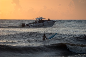 Sunset Surfer