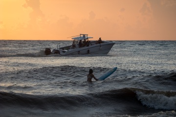 Sunset Surfer