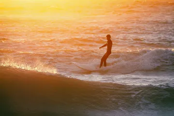Sunset Surfer