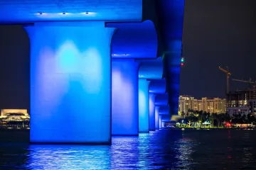 Ringling in Blue