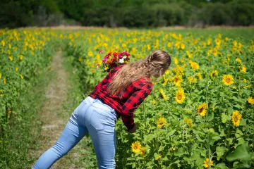 Hunsader Farms, Bradenton, Florida: Looking at Sunflowers