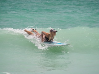 20220522 Surfing @ South Jetty