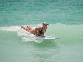 20220522 Surfing @ South Jetty