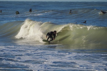 20230213-Morning-Surfing-Venice