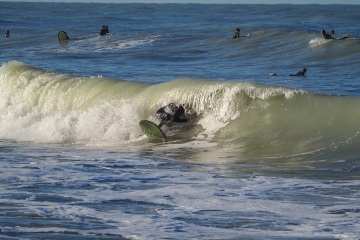 20230213-Morning-Surfing-Venice