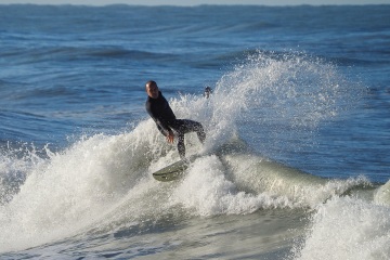 20230213-Morning-Surfing-Venice