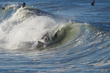 20230213-Morning-Surfing-Venice