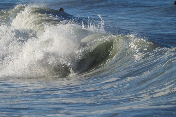 20230213-Morning-Surfing-Venice