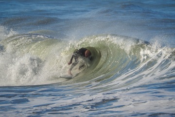 20230213-Morning-Surfing-Venice