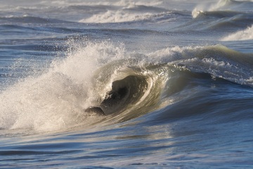 20230213-Morning-Surfing-Venice