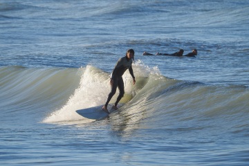 20230213-Morning-Surfing-Venice