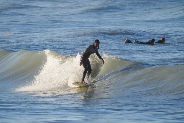 20230213-Morning-Surfing-Venice