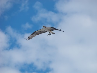 20231118-19-Surf-Champ