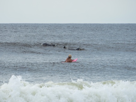 20240912-Surfing-North-Jetty