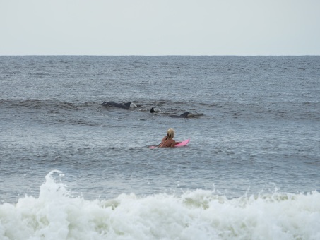 20240912-Surfing-North-Jetty